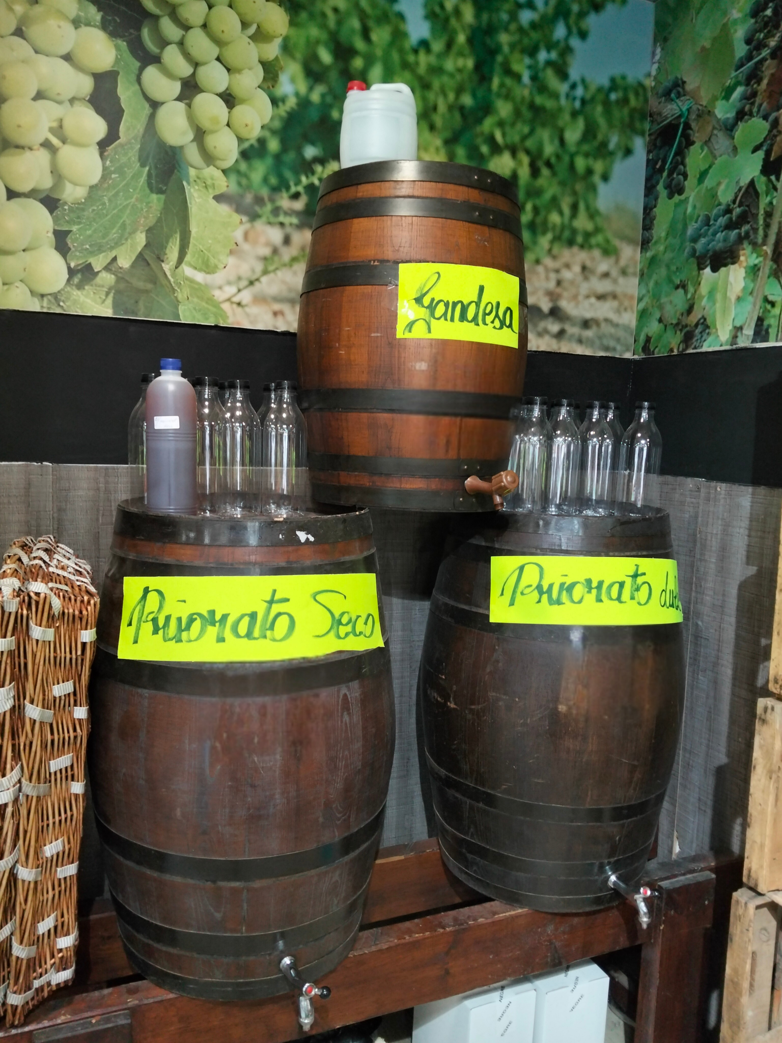 Diseño sin título (1)