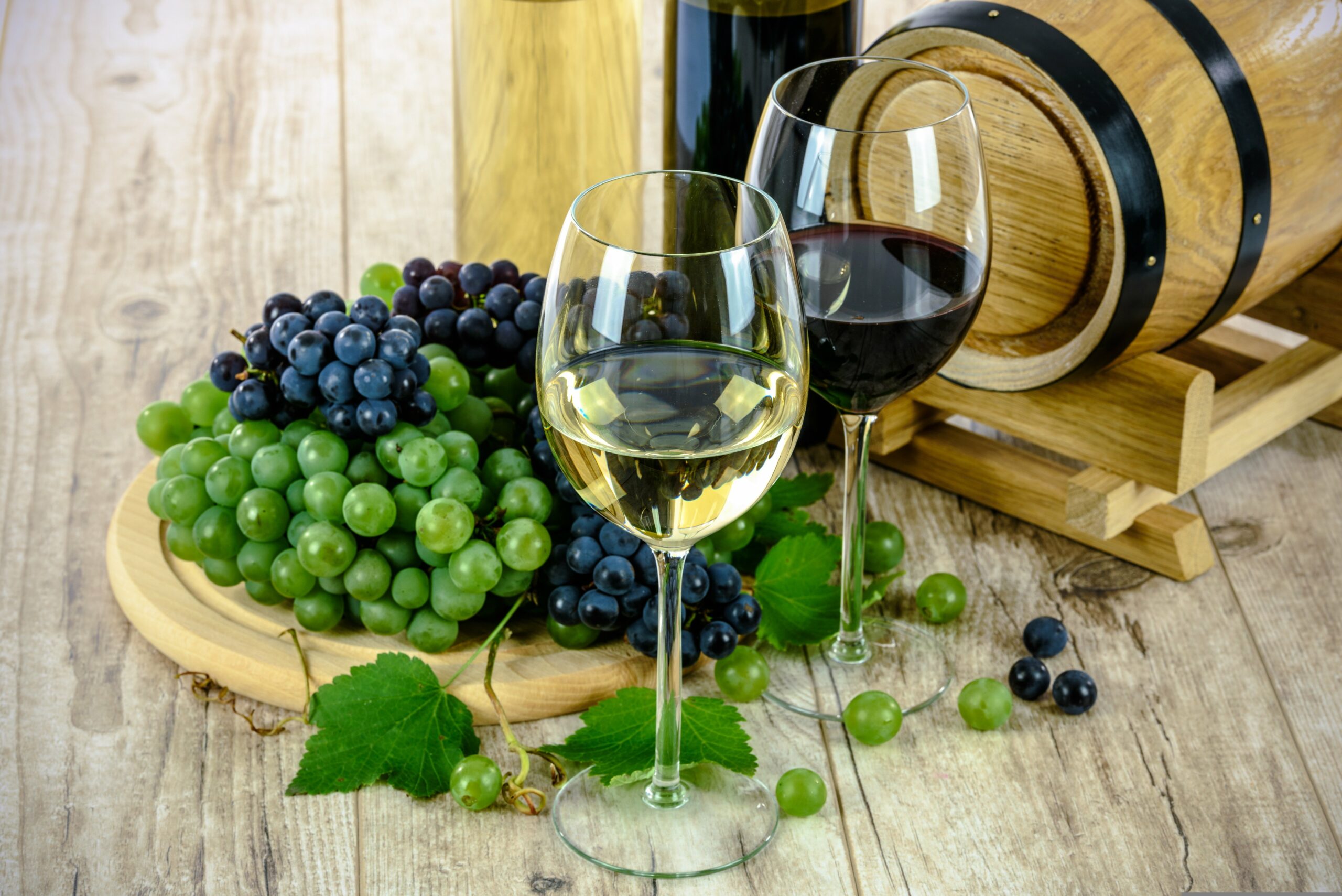 as photography wines 1761613